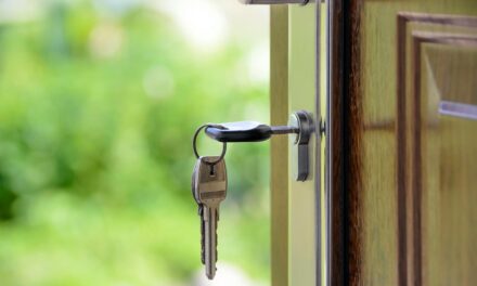 Why Licensing and Insurance Matter When Hiring a Plumber
